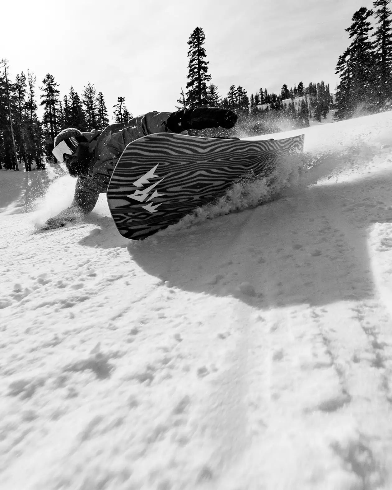 Freecarver 6000s Snowboard