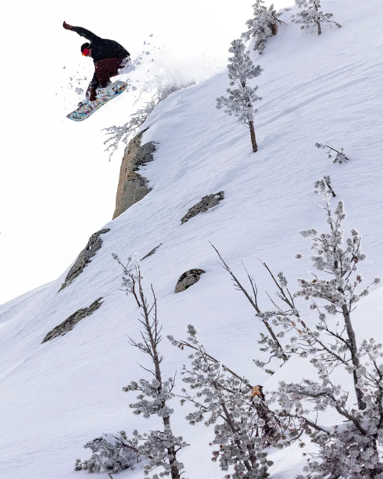 Mind Expander Twin Snowboard