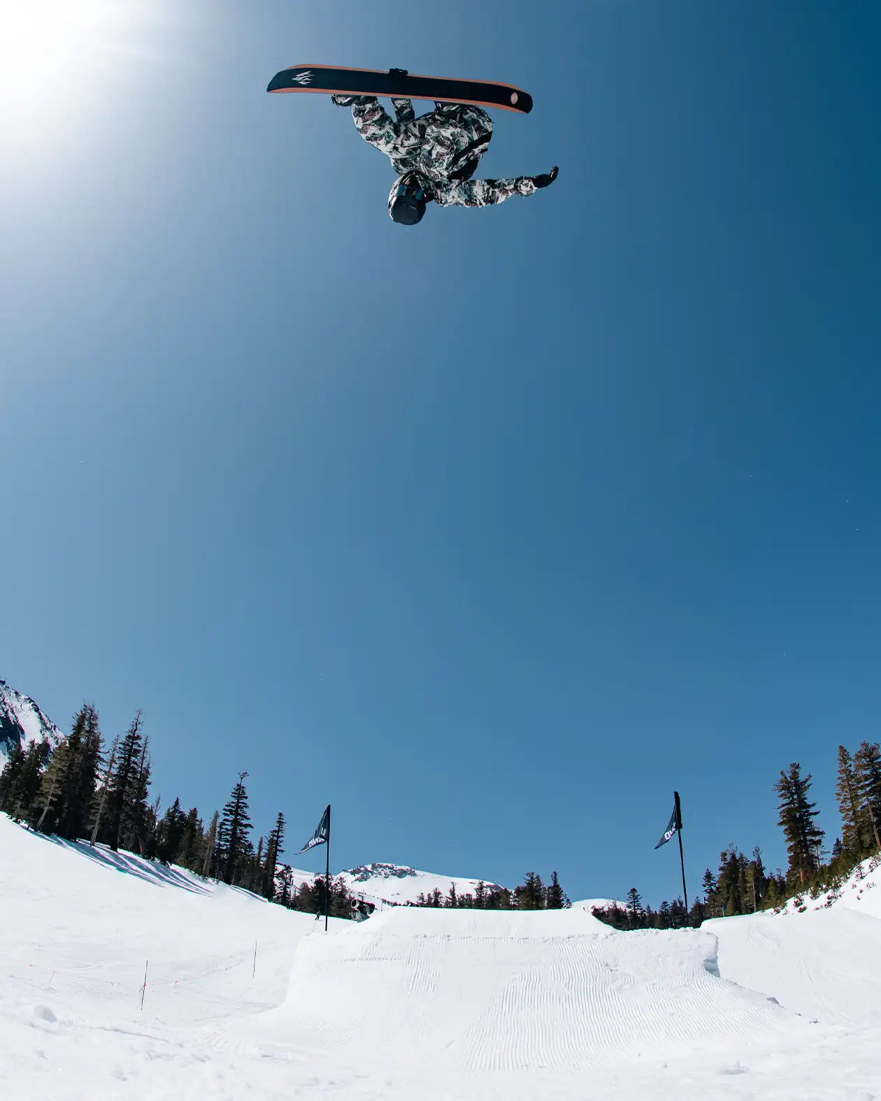 Men's Mountain Twin Pro Snowboard